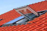 Castlereagh roof window